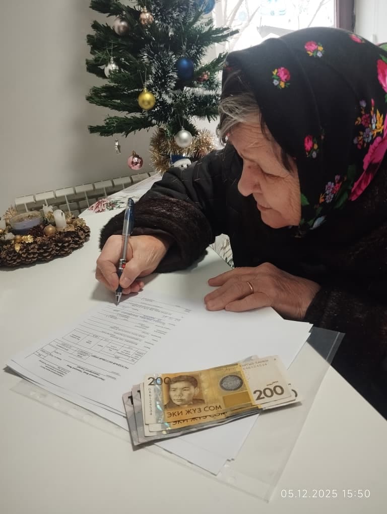 Достижения Немецкого фонда гуманитарной помощи в социальной сфере за 2025 год